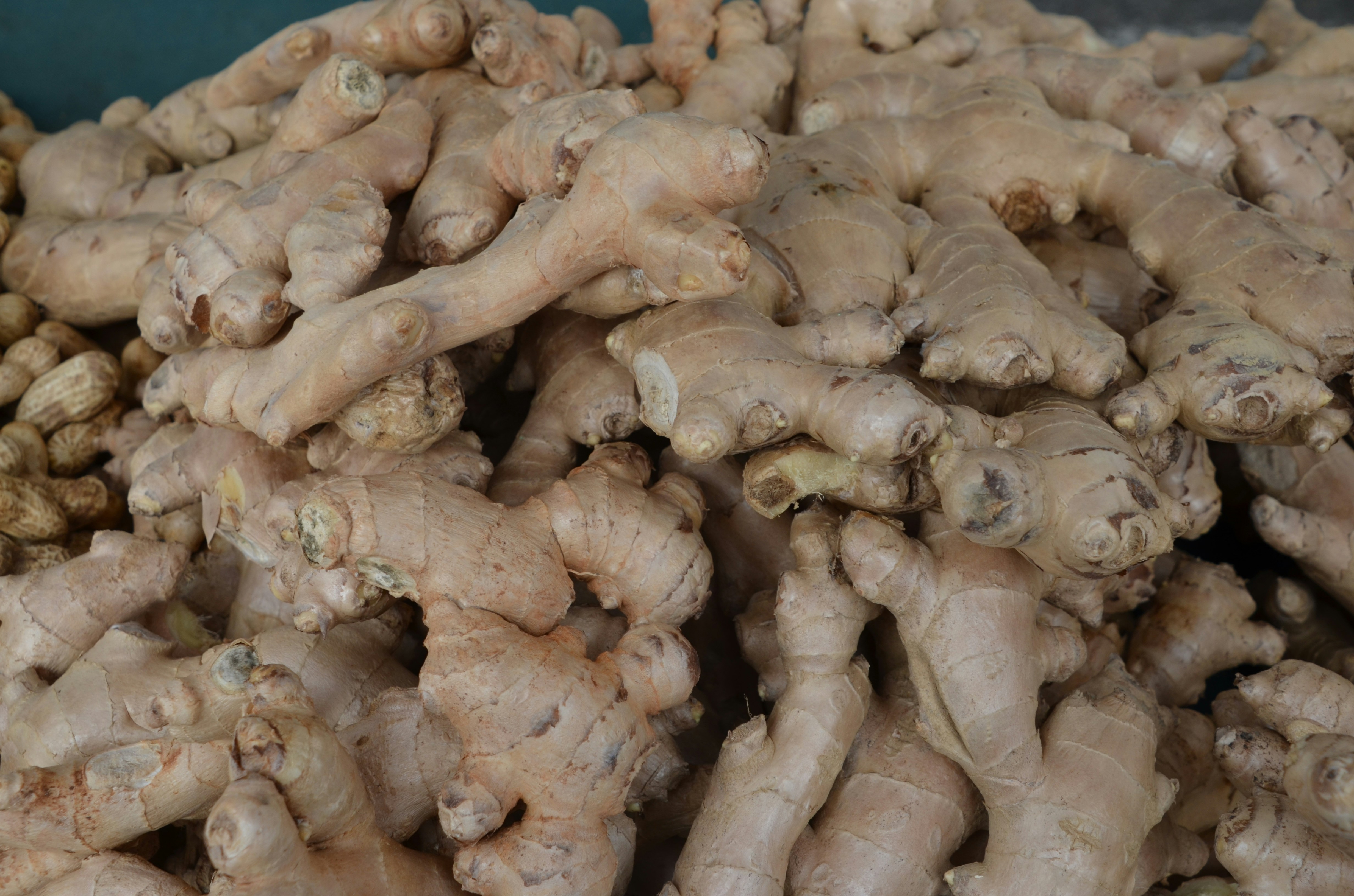 Dried Ginger
